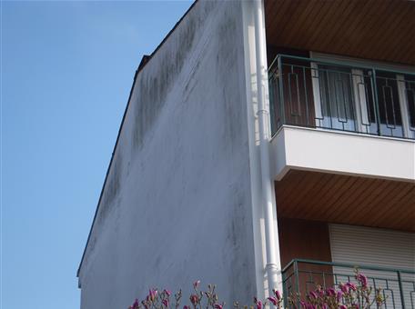 Les immeuble ancien n'ont quasiment aucune isolation