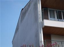 Les immeuble ancien n'ont quasiment aucune isolation